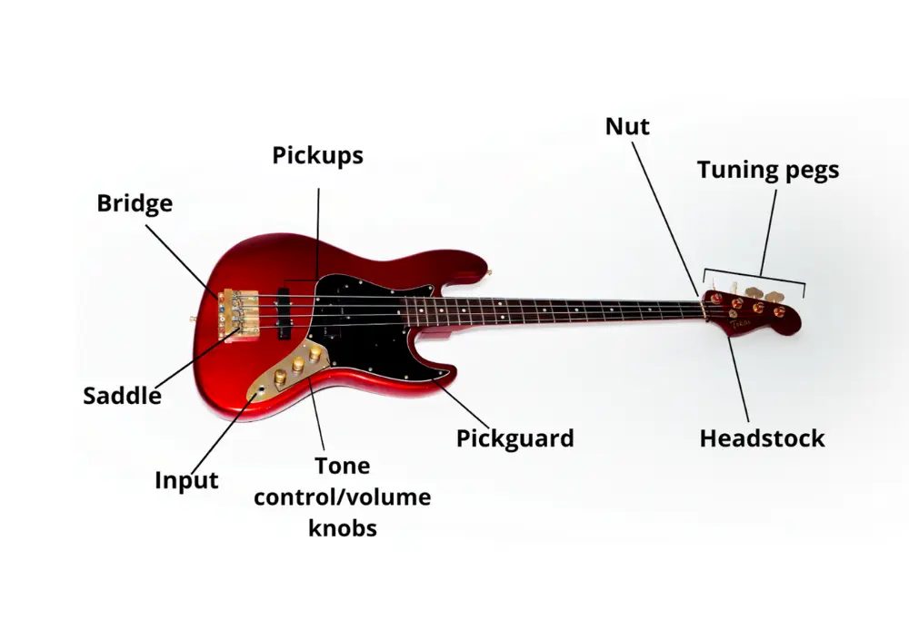 How to Learn Bass Guitar The Ultimate Guide HBH